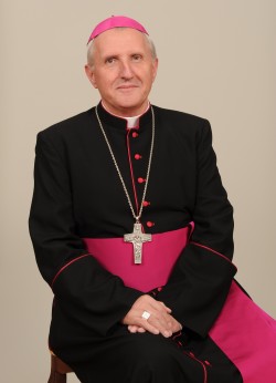 Nadškof Zore 4