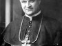 anton vovk